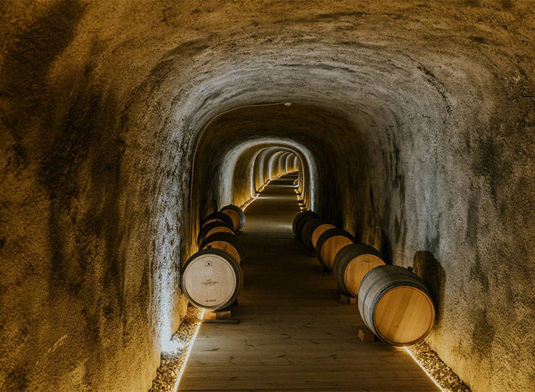 fincasantarosalía_0016_bodega_1